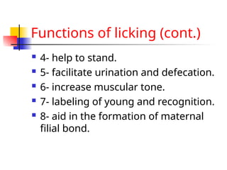 Functions of licking (cont.)
 4- help to stand.
 5- facilitate urination and defecation.
 6- increase muscular tone.
 7- labeling of young and recognition.
 8- aid in the formation of maternal
filial bond.
 