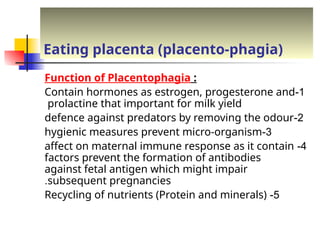 Eating placenta (placento-phagia)
Function of Placentophagia :
1
-
Contain hormones as estrogen, progesterone and
prolactine that important for milk yield
2
-
defence against predators by removing the odour
3
-
hygienic measures prevent micro-organism
4
-
affect on maternal immune response as it contain
factors prevent the formation of antibodies
against fetal antigen which might impair
subsequent pregnancies
.
5
-
Recycling of nutrients (Protein and minerals)
 