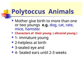 Polytoccus Animals
 Mother give birth to more than one
or two youngs e.g. dog, cat, rate,
mice, hamster.
 Characters of their young ( altracial young )
 1- immature young
 2-helpless at birth
 3-sealed eye and
 4- Sealed ears until 2-3 weeks
 