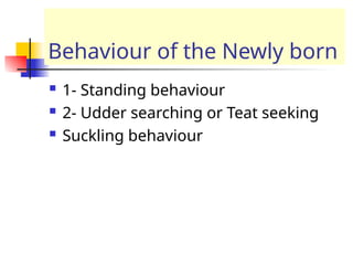 Behaviour of the Newly born
 1- Standing behaviour
 2- Udder searching or Teat seeking
 Suckling behaviour
 