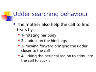 Udder searching behaviour
 The mother also help the calf to find
teats by:
 1- rotating her body
 2- abduction the hind legs
 3- moving forward bringing the udder
closer to the calf
 4- licking the perineal region to stimulate
the calf to suckle
 