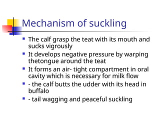 Mechanism of suckling
 The calf grasp the teat with its mouth and
sucks vigrously
 It develops negative pressure by warping
thetongue around the teat
 It forms an air- tight compartment in oral
cavity which is necessary for milk flow
 - the calf butts the udder with its head in
buffalo
 - tail wagging and peaceful suckling
 