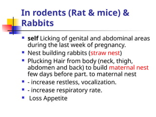 In rodents (Rat & mice) &
Rabbits
 self Licking of genital and abdominal areas
during the last week of pregnancy.
 Nest building rabbits (straw nest)
 Plucking Hair from body (neck, thigh,
abdomen and back) to build maternal nest
few days before part. to maternal nest
 - increase restless, vocalization.
 - increase respiratory rate.
 Loss Appetite
 