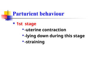 Parturient behaviour
 1st stage

-uterine contraction

-lying down during this stage

-straining
 