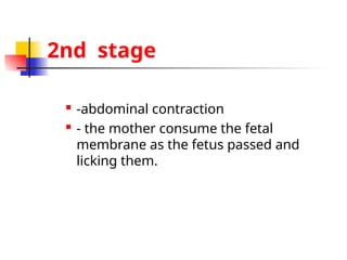 2nd stage
 -abdominal contraction
 - the mother consume the fetal
membrane as the fetus passed and
licking them.
 