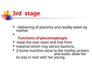 3rd stage
 - delivering of placenta and readily eaten by
mother

Functions of placentophagia
 -keep the nest clean and free from
 material which may attract bacteria.
 2-Some nutritive value to the mother protein
and water allow her
to stay in nest with her young.
 
