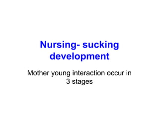 Nursing- sucking
development
Mother young interaction occur in
3 stages
 