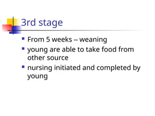 3rd stage
 From 5 weeks – weaning
 young are able to take food from
other source
 nursing initiated and completed by
young
 