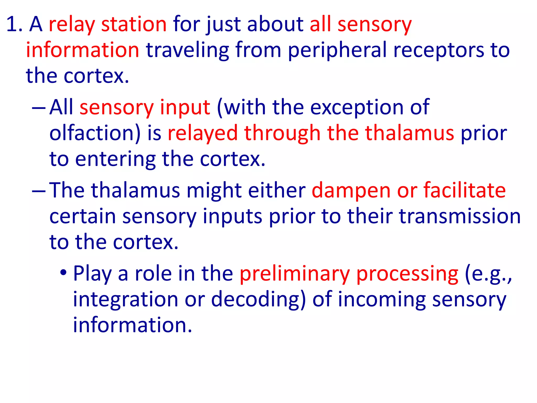 -
1. A relay station for just about all sensory
information traveling from peripheral receptors to
the cortex.
–All sensory input (with the exception of
olfaction) is relayed through the thalamus prior
to entering the cortex.
–The thalamus might either dampen or facilitate
certain sensory inputs prior to their transmission
to the cortex.
• Play a role in the preliminary processing (e.g.,
integration or decoding) of incoming sensory
information.
 