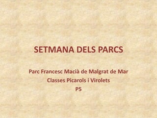 SETMANA DELS PARCS

Parc Francesc Macià de Malgrat de Mar
       Classes Picarols i Virolets
                  P5
 