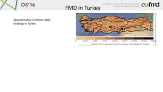 FMD in Turkey
Approximately 3 million cattle
holdings in Turkey
 