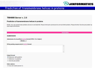 Prediction of transmembrane helices in proteins
(TMHMM)
 