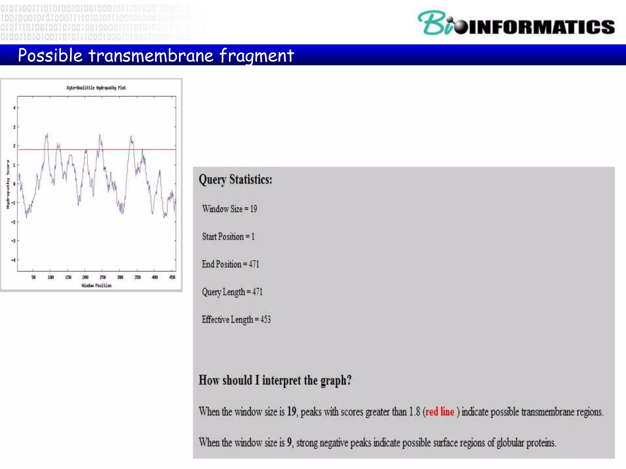 Possible transmembrane fragment
 