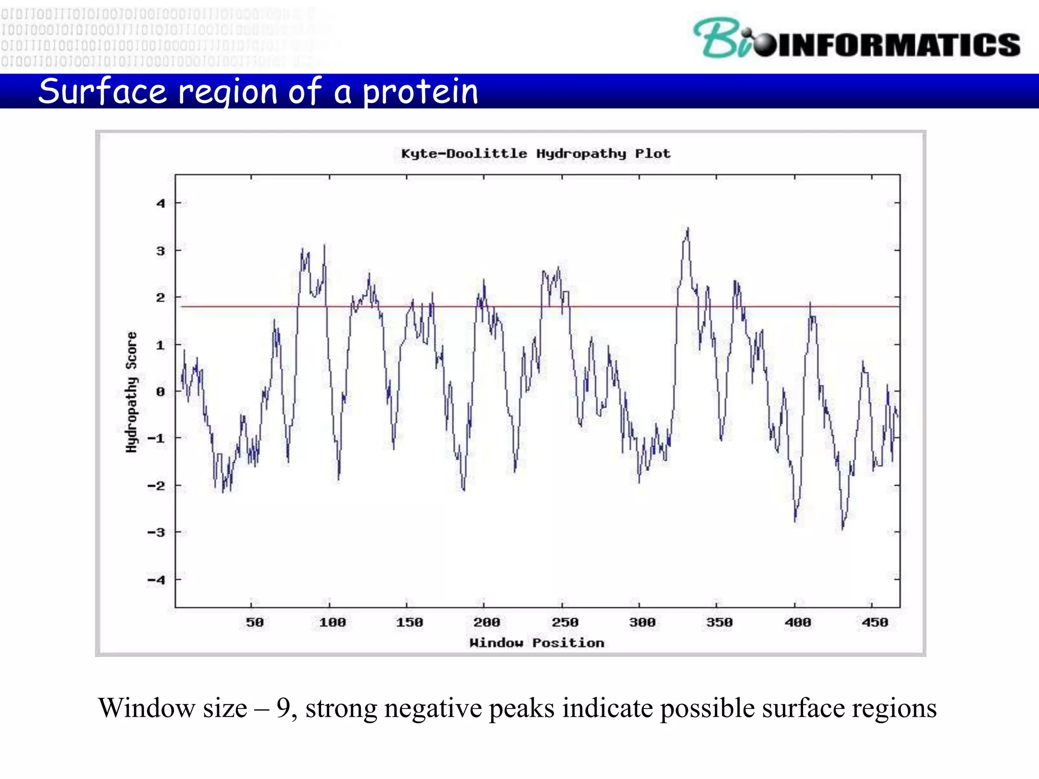 Window size – 9, strong negative peaks indicate possible surface regions
Surface region of a protein
 