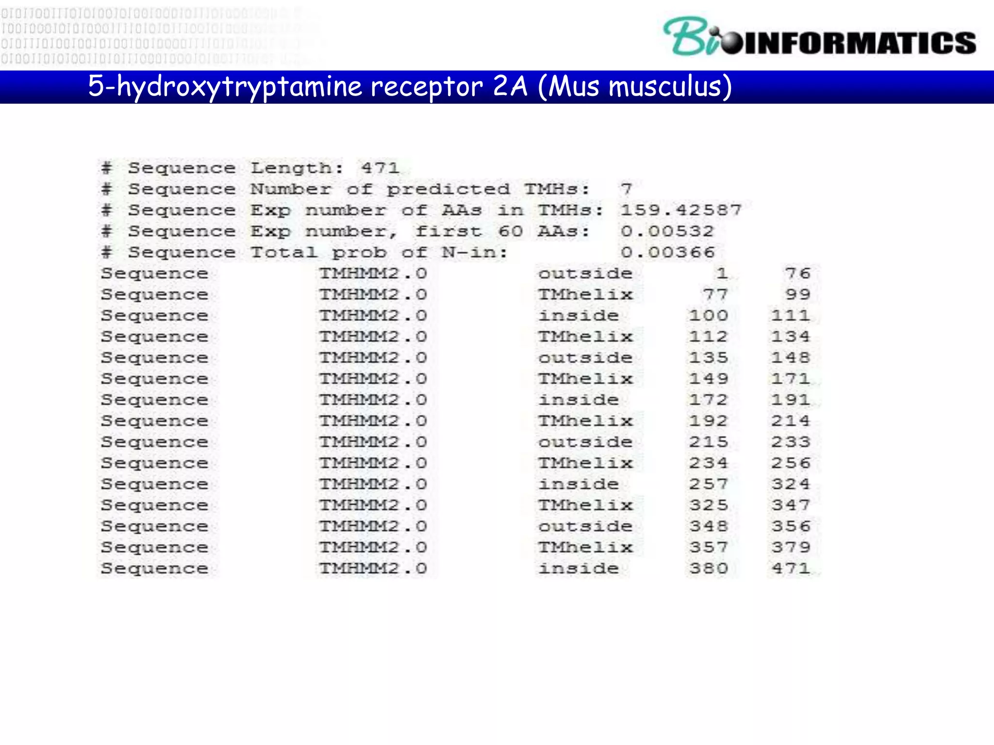 5-hydroxytryptamine receptor 2A (Mus musculus)
 