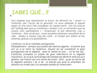 SABIES QUÈ...?
Una vegada que abandonen la boca, els aliments no " cauen" a
l’estómac per l’acció de la gravetat. La seva arribada a aquest
òrgan és una mica més complexa. En aquest sentit , són els músculs
de l’esòfag dels que es contrauen i relaxen ( en un moviment que es
coneix com peristaltisme ) i empenyen al bol alimentari cap a
l’estómac . Això vol dir que , si per aquestes estranyes casualitats de la
vida , arribes a menjar cap per avall , el menjar pot arribar al teu
estómac gràcies a la peristaltisme.
L'estómac no és el veritable protagonista
Probablement , sempre que parles del sistema digestiu , el primer que
se't ve a la ment és l'estómac. Aquest sol ser considerat el gran
protagonista de la digestió , però la veritat és que ... no és tan així .
L'estómac compleix un paper de gran rellevància en la digestió
mecànica ; és el que s'encarrega de barrejar els aliments amb els sucs
gàstrics i de formar així una mena de pasta . Però , quan es tracta de
la digestió química ( és a dir , el procés pel qual es sintetitzen els
aliments en molècules ) la veritable estrella és l'intestí prim.
A
 