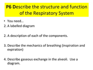 P6 D escribe the structure and function of the Respiratory System ,[object Object],[object Object],[object Object],[object Object],[object Object]
