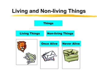 Living and Non-living Things 