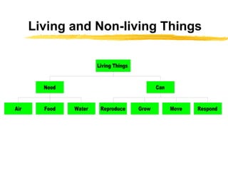 Living and Non-living Things 