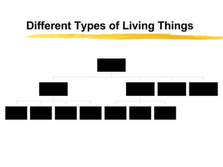 Different Types of Living Things   