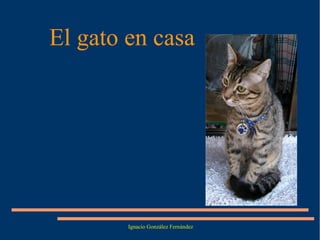El gato en casa

Ignacio González Fernández

 