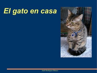 El gato en casa

Judit Rodríguez Blanco

 