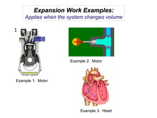 Expansion Work Examples:
Applies when the system changes volume
Example 1: Motor
Example 2: Motor
Example 3: Heart
 