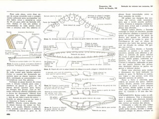 P6finalgrandelivrodacostura