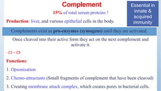 Complement
15% of total serum proteins !
Production: liver, and various epithelial cells in the body.
Once cleaved into th...