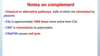 Notes on complement
- Classical or alternative pathways, both of which are stimulated by
plasmin
- C5a is approximately 10...