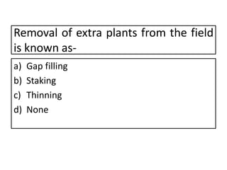 Removal of extra plants from the field
is known as-
a) Gap filling
b) Staking
c) Thinning
d) None
 