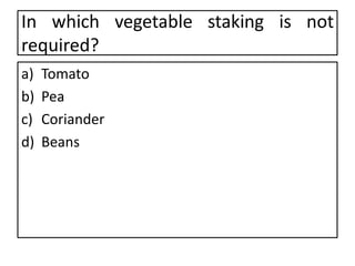 In which vegetable staking is not
required?
a) Tomato
b) Pea
c) Coriander
d) Beans
 