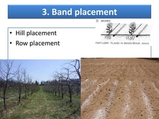 3. Band placement
• Hill placement
• Row placement
 