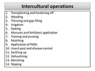 Intercultural operations
1. Transplanting and hardening off
2. Weeding
3. Thinning and gap filling
4. Irrigation
5. Staking
6. Manures and fertilizers application
7. Training and pruning
8. Mulching
9. Application of PGRs
10. Insect-pest and disease control
11. Earthing up
12. Dehaulming
13. Blanching
14. Nipping
 