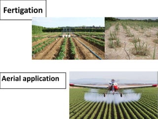 Fertigation
Aerial application
 