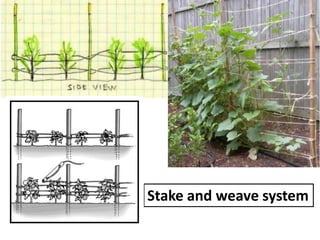 Stake and weave system
 