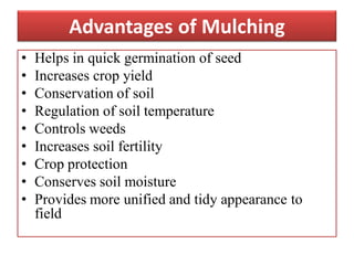 Advantages of Mulching
• Helps in quick germination of seed
• Increases crop yield
• Conservation of soil
• Regulation of soil temperature
• Controls weeds
• Increases soil fertility
• Crop protection
• Conserves soil moisture
• Provides more unified and tidy appearance to
field
 