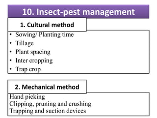 10. Insect-pest management
• Sowing/ Planting time
• Tillage
• Plant spacing
• Inter cropping
• Trap crop
1. Cultural method
Hand picking
Clipping, pruning and crushing
Trapping and suction devices
2. Mechanical method
 