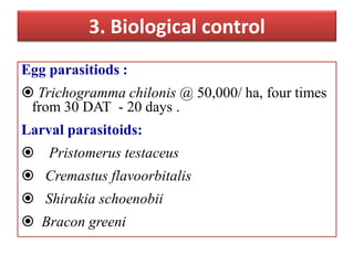 3. Biological control
Egg parasitiods :
 Trichogramma chilonis @ 50,000/ ha, four times
from 30 DAT - 20 days .
Larval parasitoids:
 Pristomerus testaceus
 Cremastus flavoorbitalis
 Shirakia schoenobii
 Bracon greeni
 