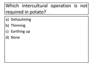 Which intercultural operation is not
required in potato?
a) Dehaulming
b) Thinning
c) Earthing up
d) None
 