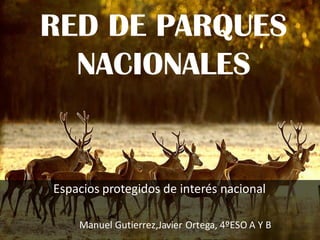 RED DE PARQUES
NACIONALES
Espacios protegidos de interés nacional
Manuel Gutierrez,Javier Ortega, 4ºESO A Y B
 
