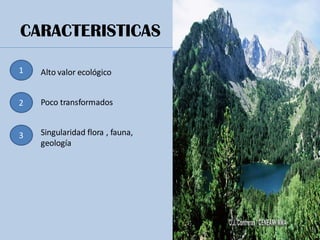 CARACTERISTICAS
1
3
2
Alto valor ecológico
Poco transformados
Singularidad flora , fauna,
geología
 