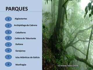 PARQUES
2
3
4
5
6
7
8
1 Algüestortes
Archipiélagode Cabrera
Cabañeros
Caldera de Taburiente
Doñana
Garajonay
Islas Atlánticas de Galicia
Monfragüe
 