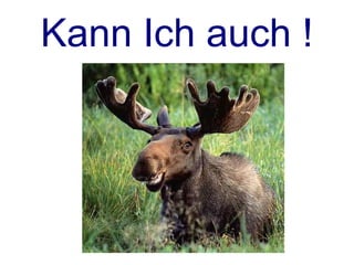 In Perl 5
package Spaceship;
use Moose;
has 'speed' => (
   is => 'ro';
   isa => 'Int';
);
sub stop {
   $self = shift;
   $self->speed = 0;
}
 