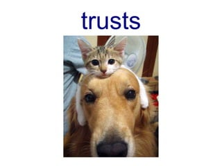 trusts
class Hund {
   trusts Katze;
   has $!Knochen;
}
 