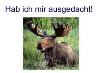 Perl 6 & Moose


has is
 