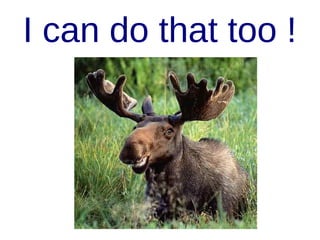 Class
class Spaceship {
has Int $.speed;
method stop {
$speed = 0
}
}

 