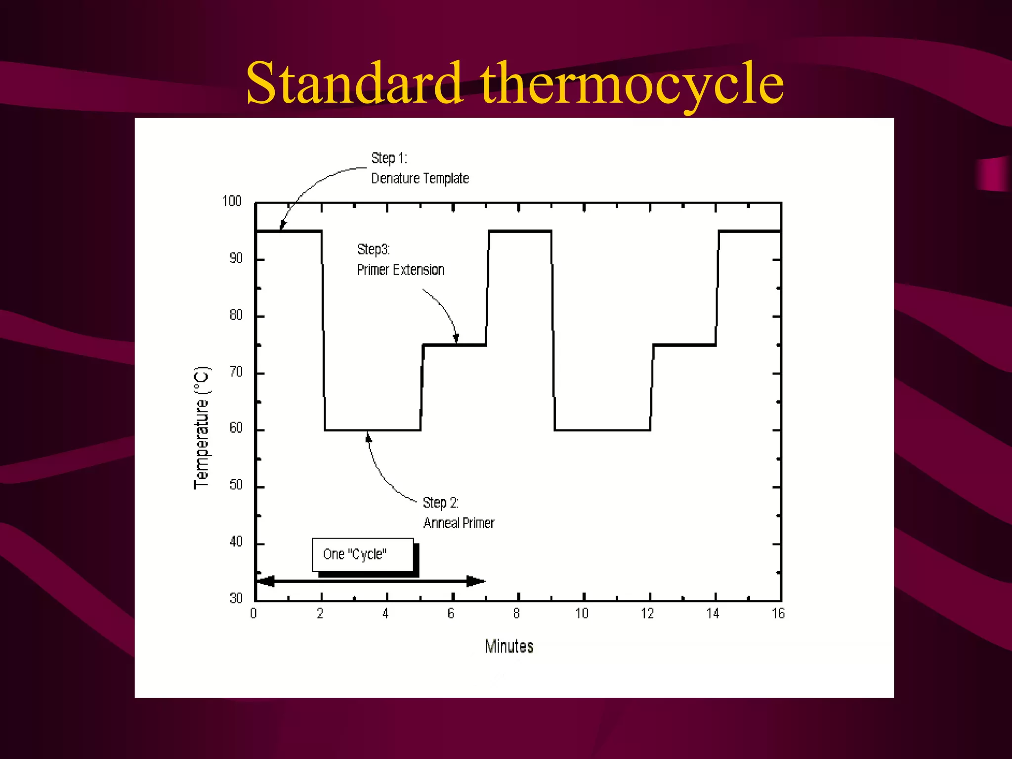 Standard thermocycle
 