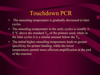 P6 PCR-Presentation 21.10.pdf