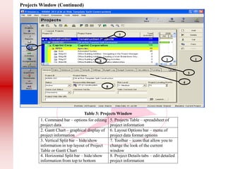 P6 Presentation basics for project control managers and planners | PDF